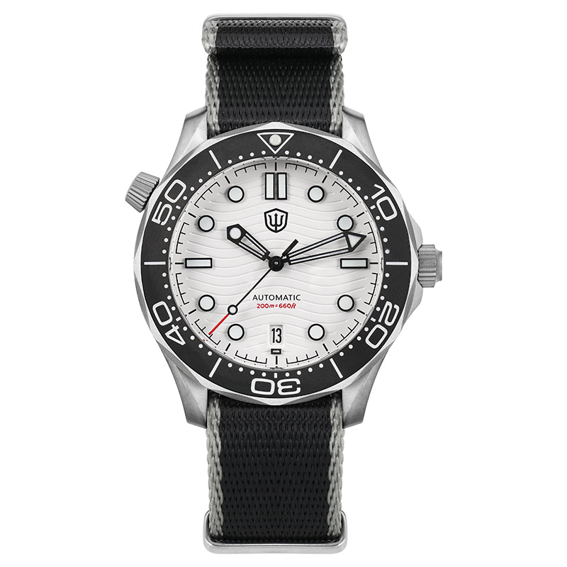 EU Pre-Owned Watchdives WD007 42mm Titanium NTTD Dive Watch