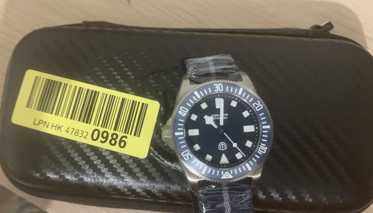 EU Pre-Owned Watchdives EXD-38 38mm Titanium VH31 Dive Watch