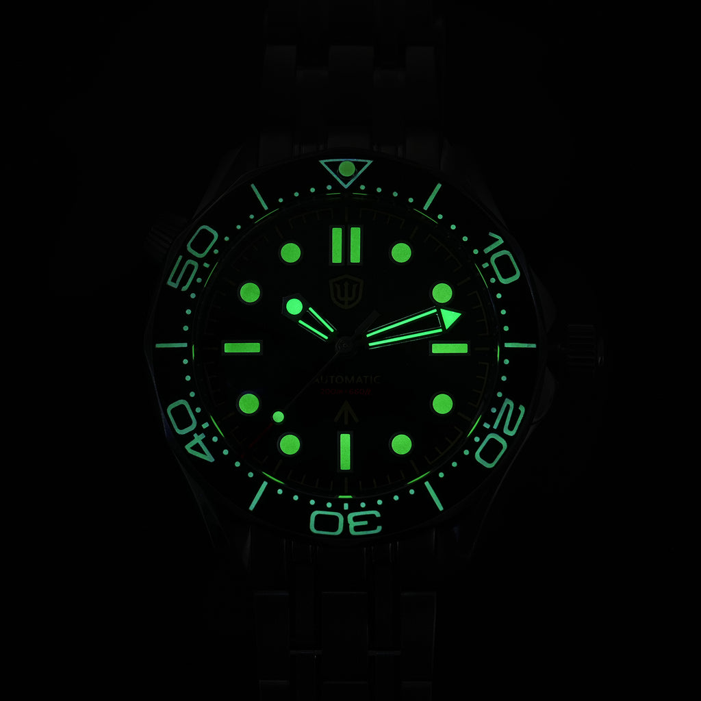 EU Pre-Owned-A Watchdives WD007ST 39mm NTTD Dive Watch